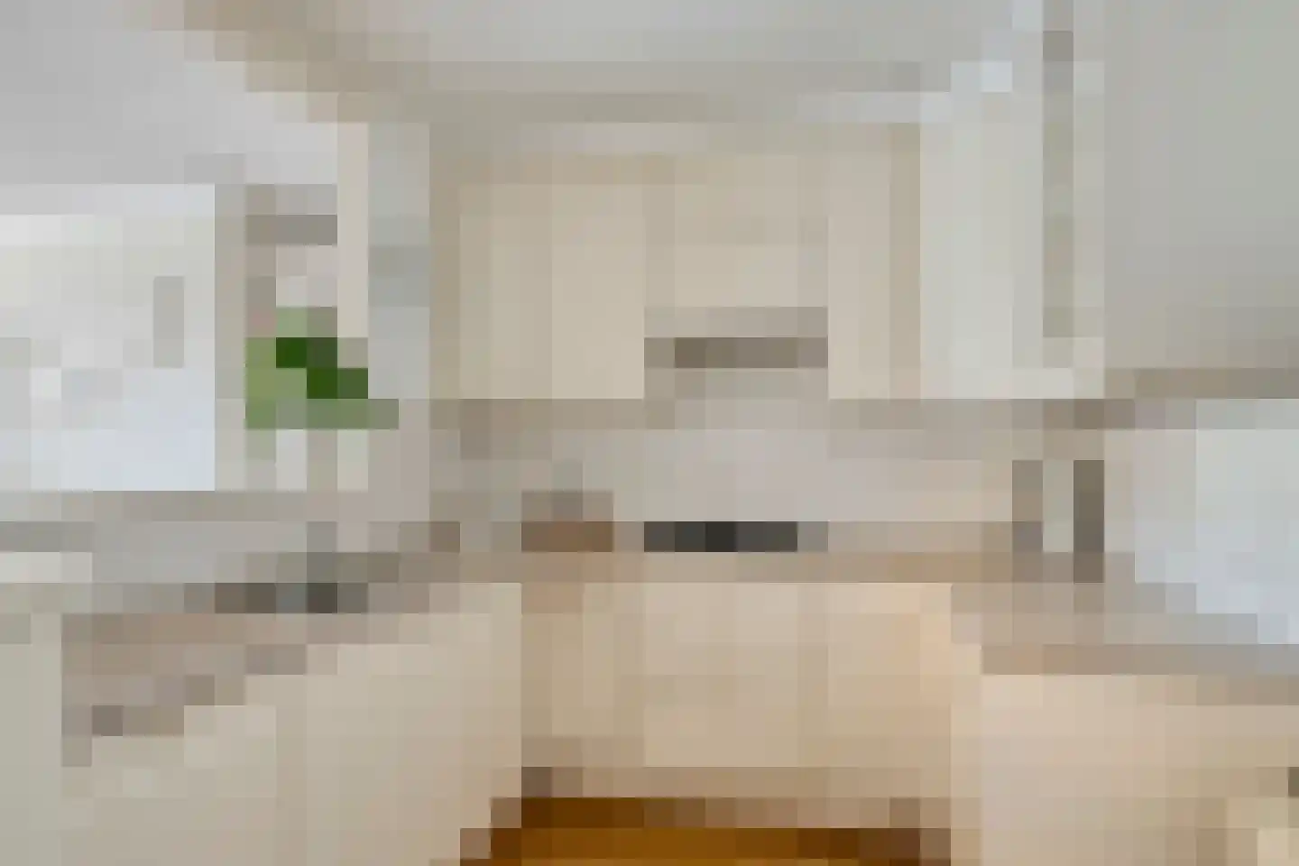de Jongestraat 46 Best thumbnail 19