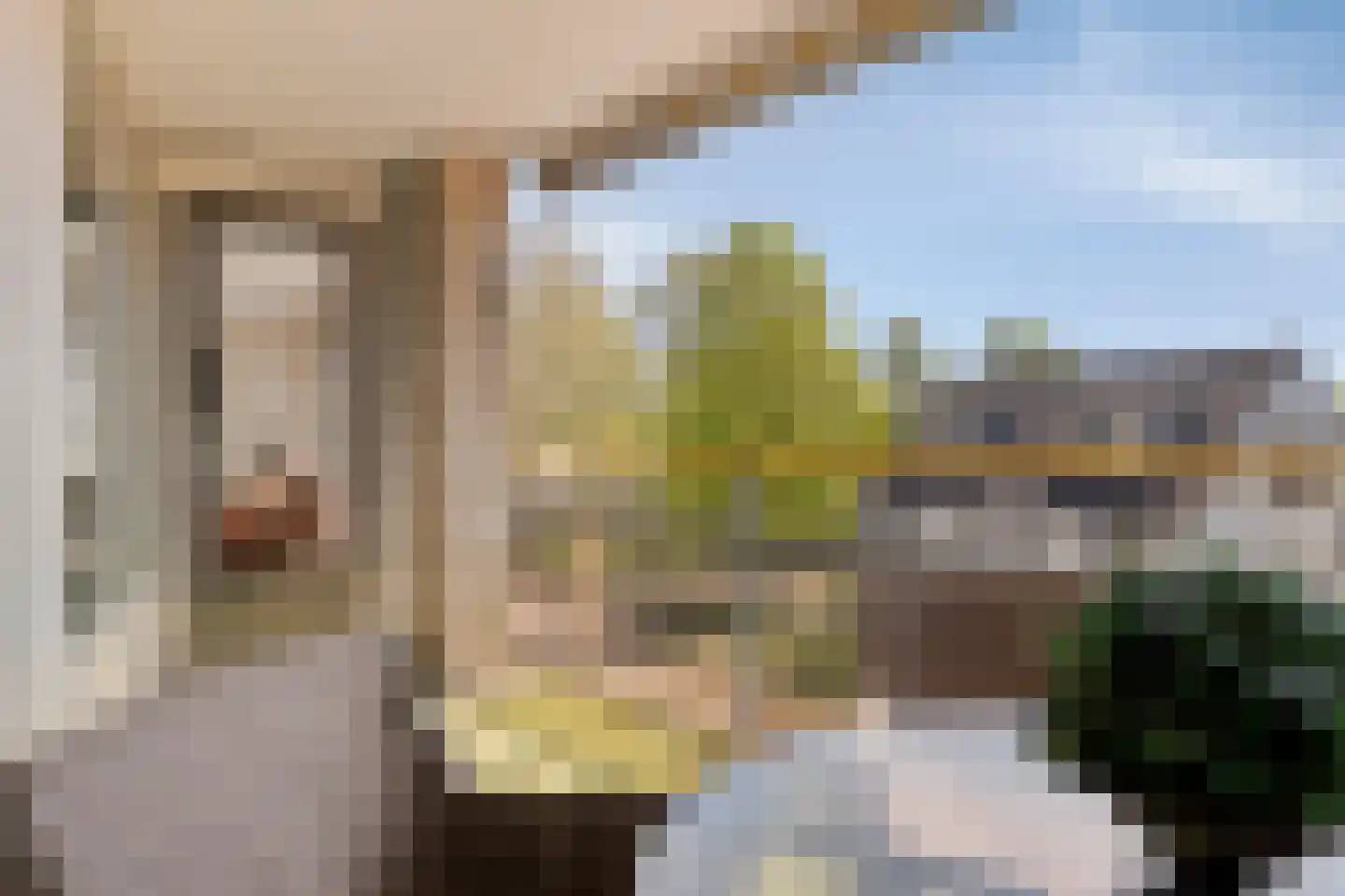 de Jongestraat 46 Best thumbnail 25