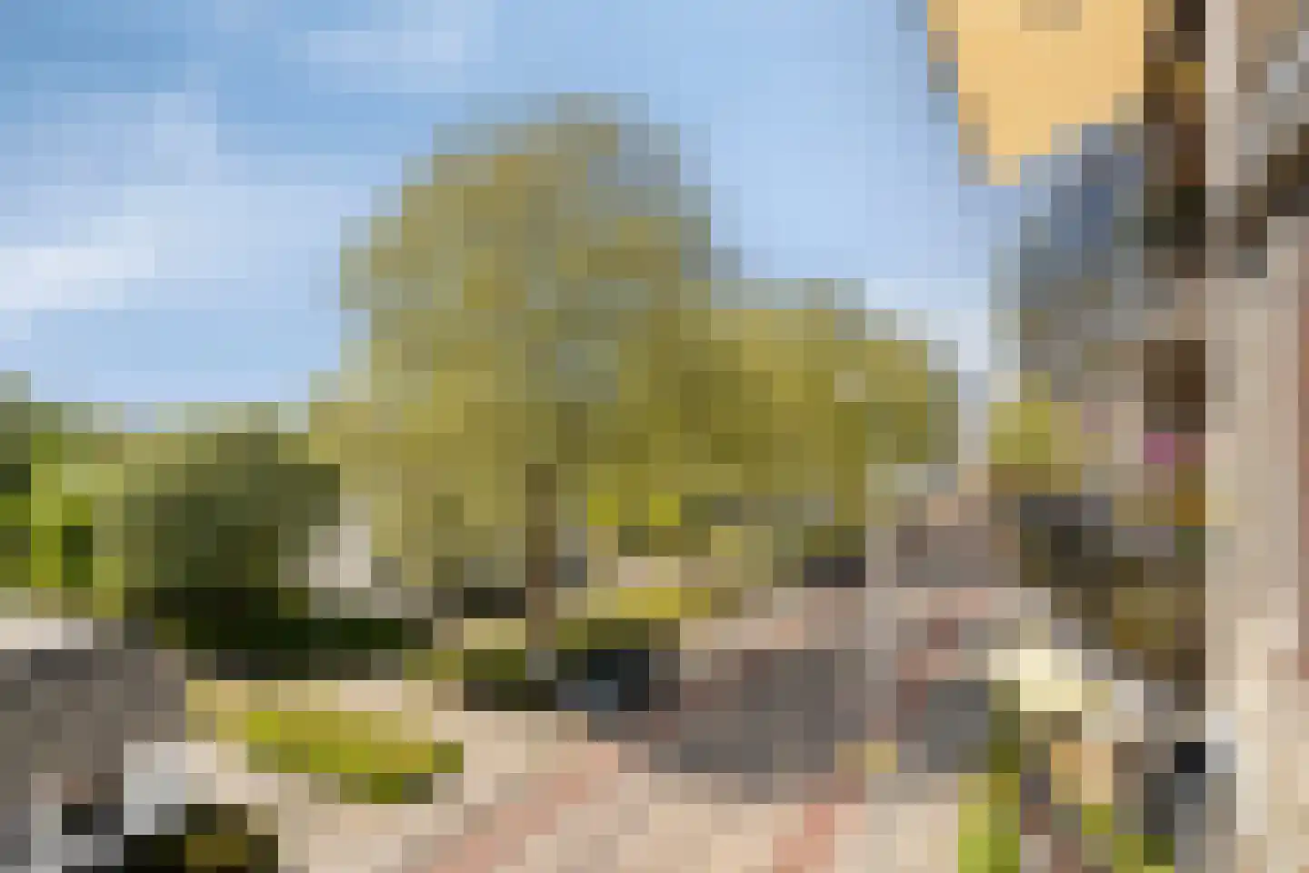 de Jongestraat 46 Best thumbnail 27