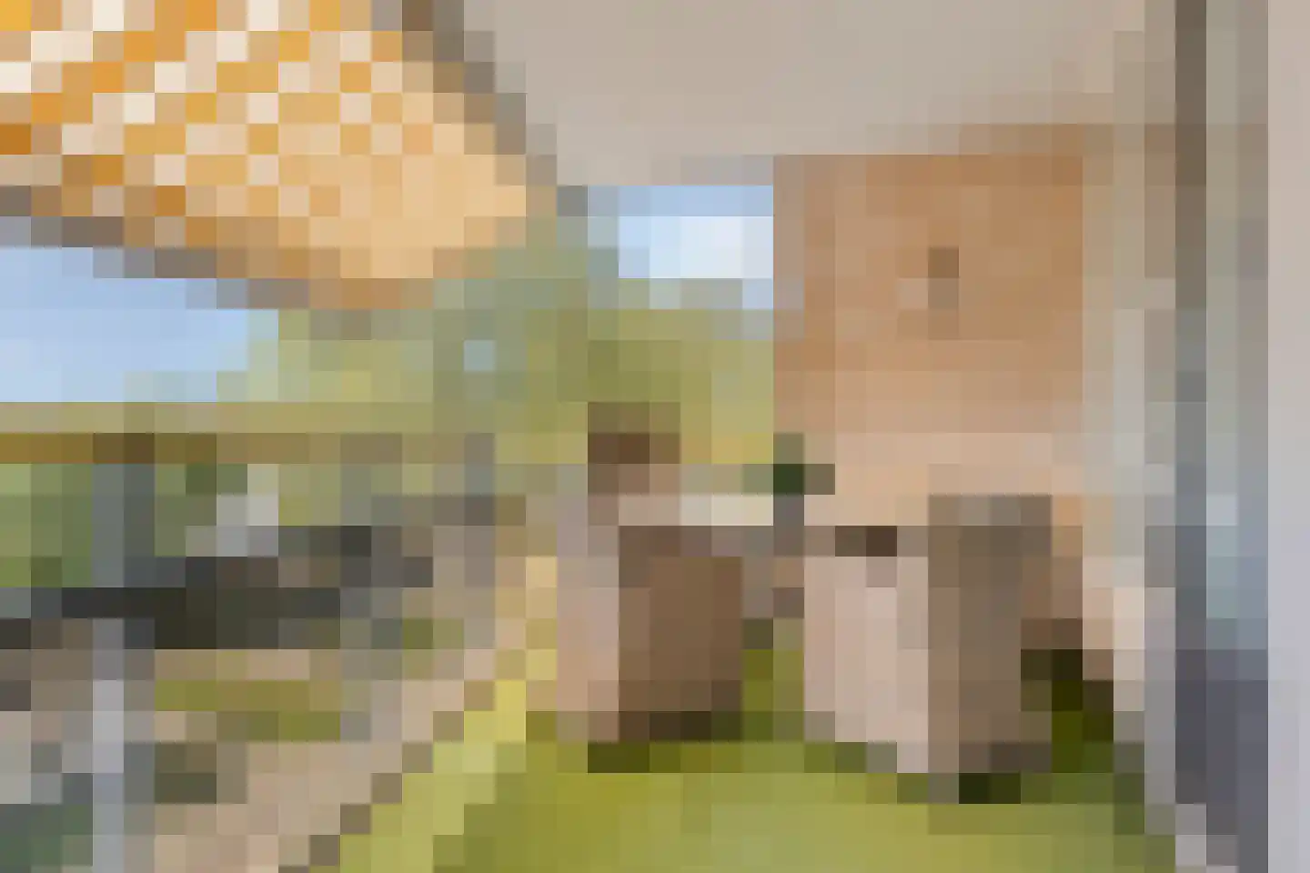 de Jongestraat 46 Best thumbnail 28