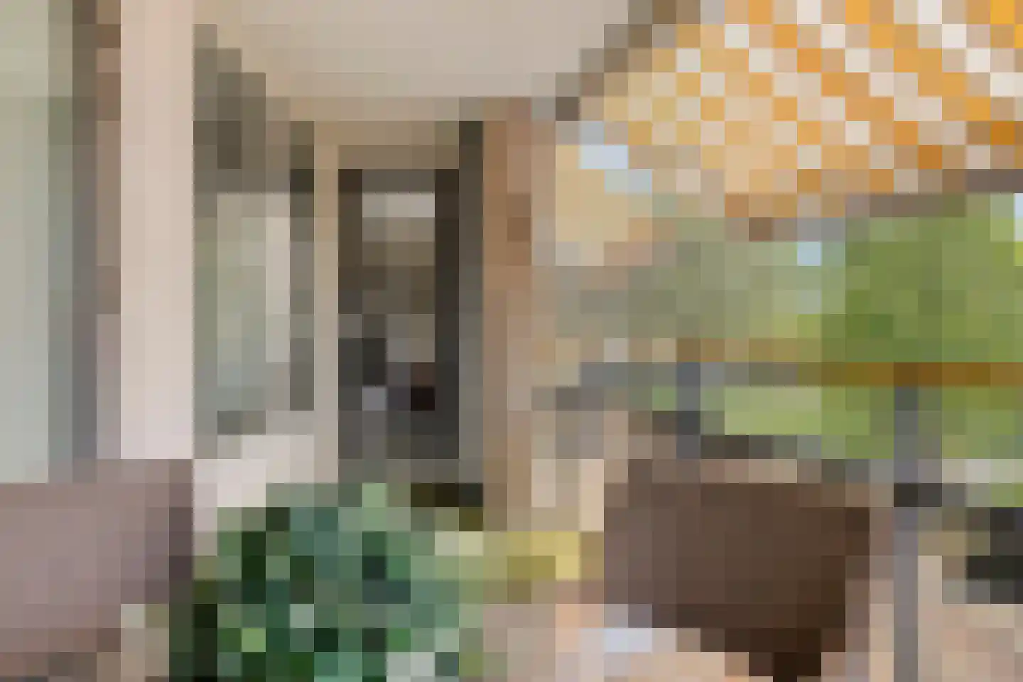 de Jongestraat 46 Best thumbnail 29
