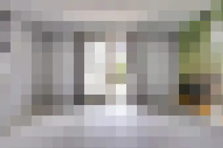 de Jongestraat 6 's-Heerenhoek thumbnail 10
