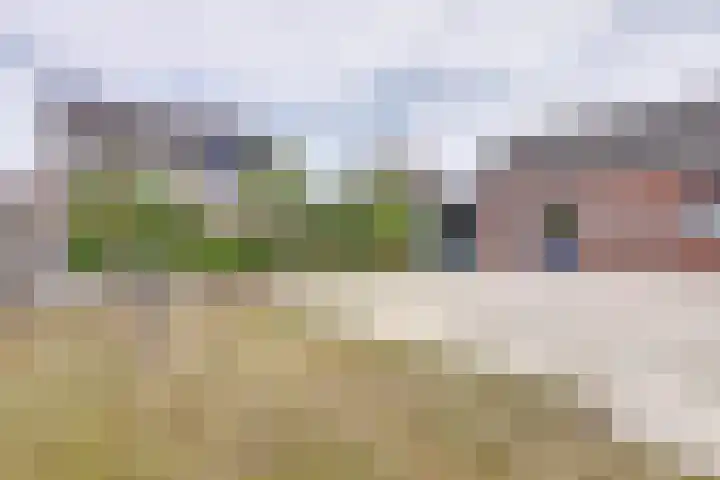 de Jongestraat 6 's-Heerenhoek thumbnail 31