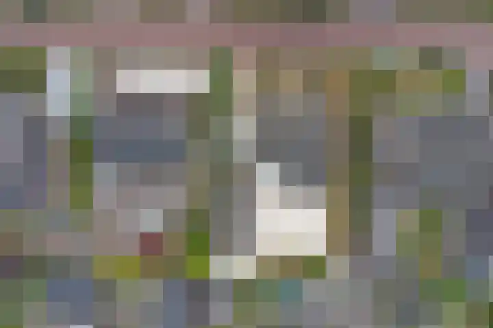 de Jongestraat 6 's-Heerenhoek thumbnail 33