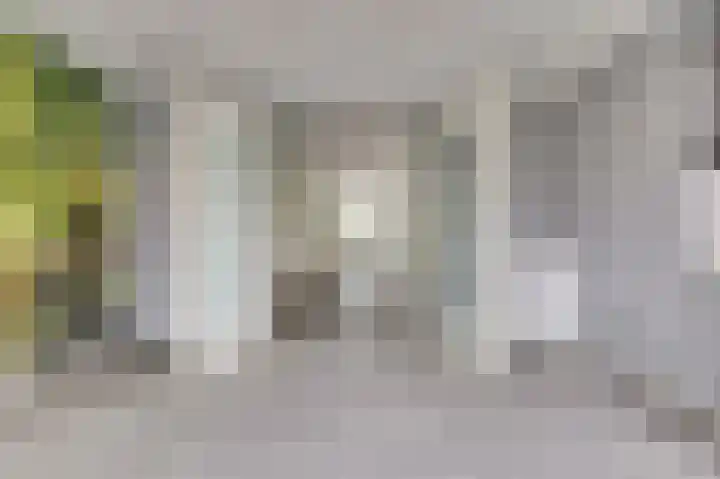 de Jongestraat 6 's-Heerenhoek thumbnail 9