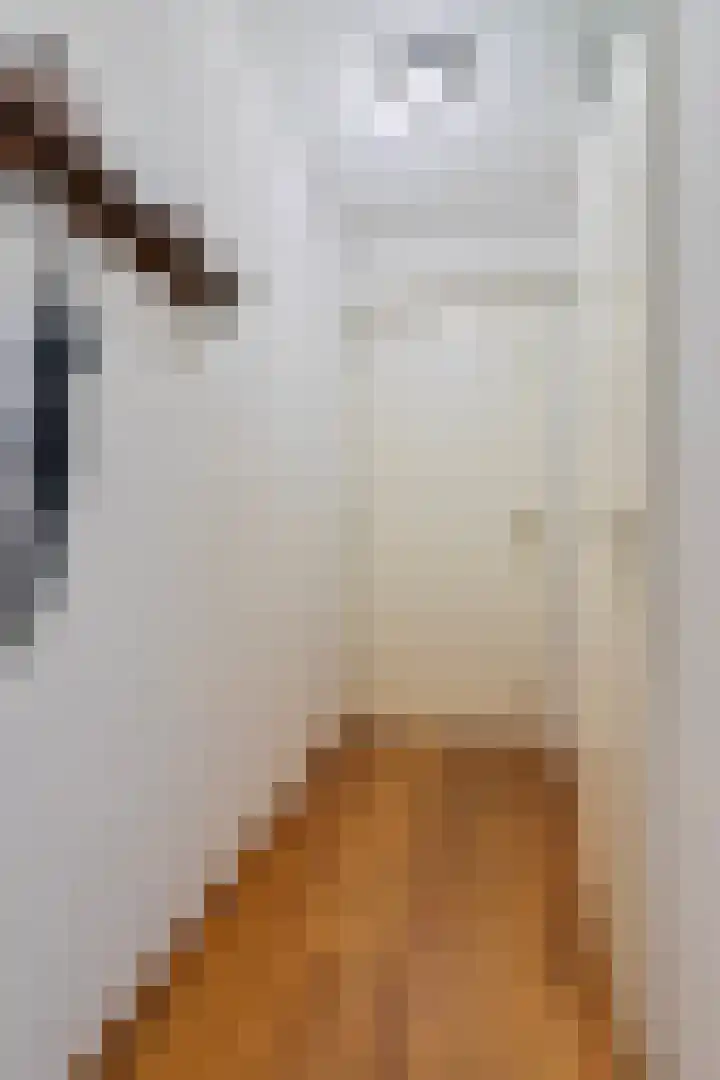 de Jongestraat 8 Best thumbnail 11