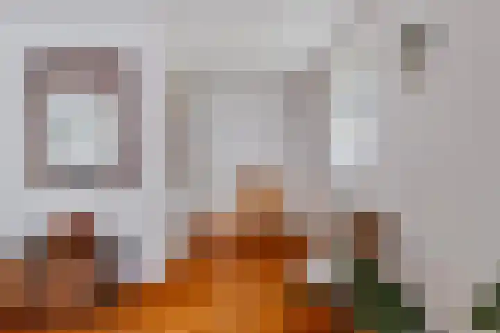 de Jongestraat 8 Best thumbnail 18
