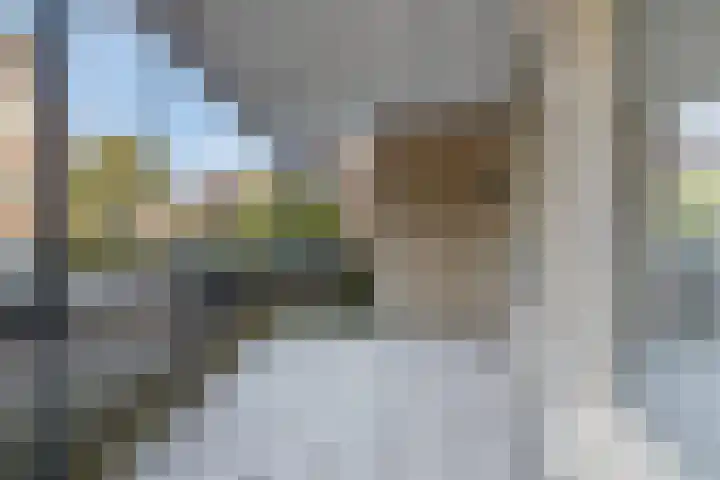 de Jongestraat 8 Best thumbnail 27