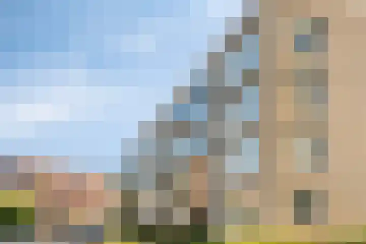 de Jongestraat 8 Best thumbnail 29