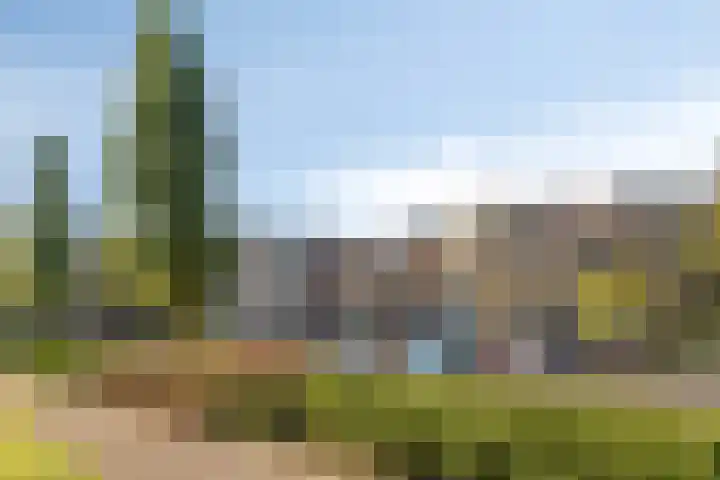 de Jongestraat 8 Best thumbnail 30