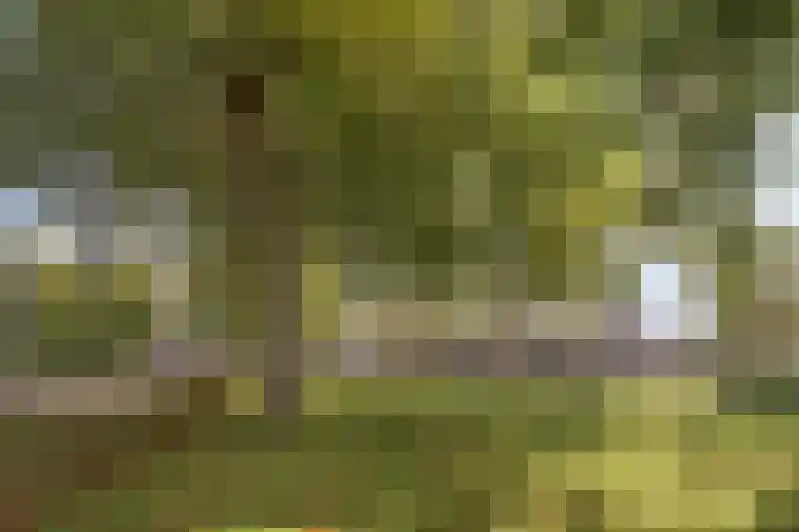 de Jongestraat 8 Best thumbnail 31
