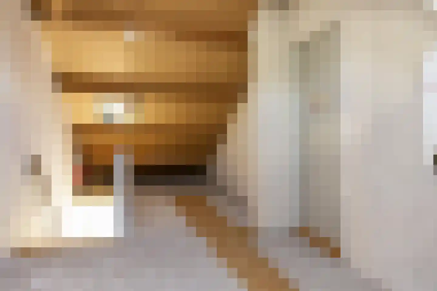 de Jongestraat 8 Wilhelminaoord thumbnail 12