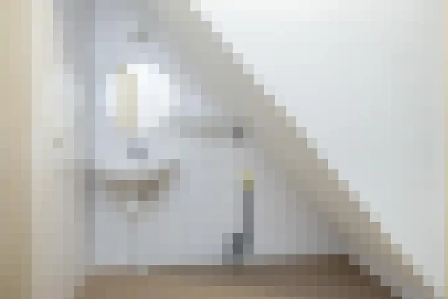 de Jongestraat 8 Wilhelminaoord thumbnail 9