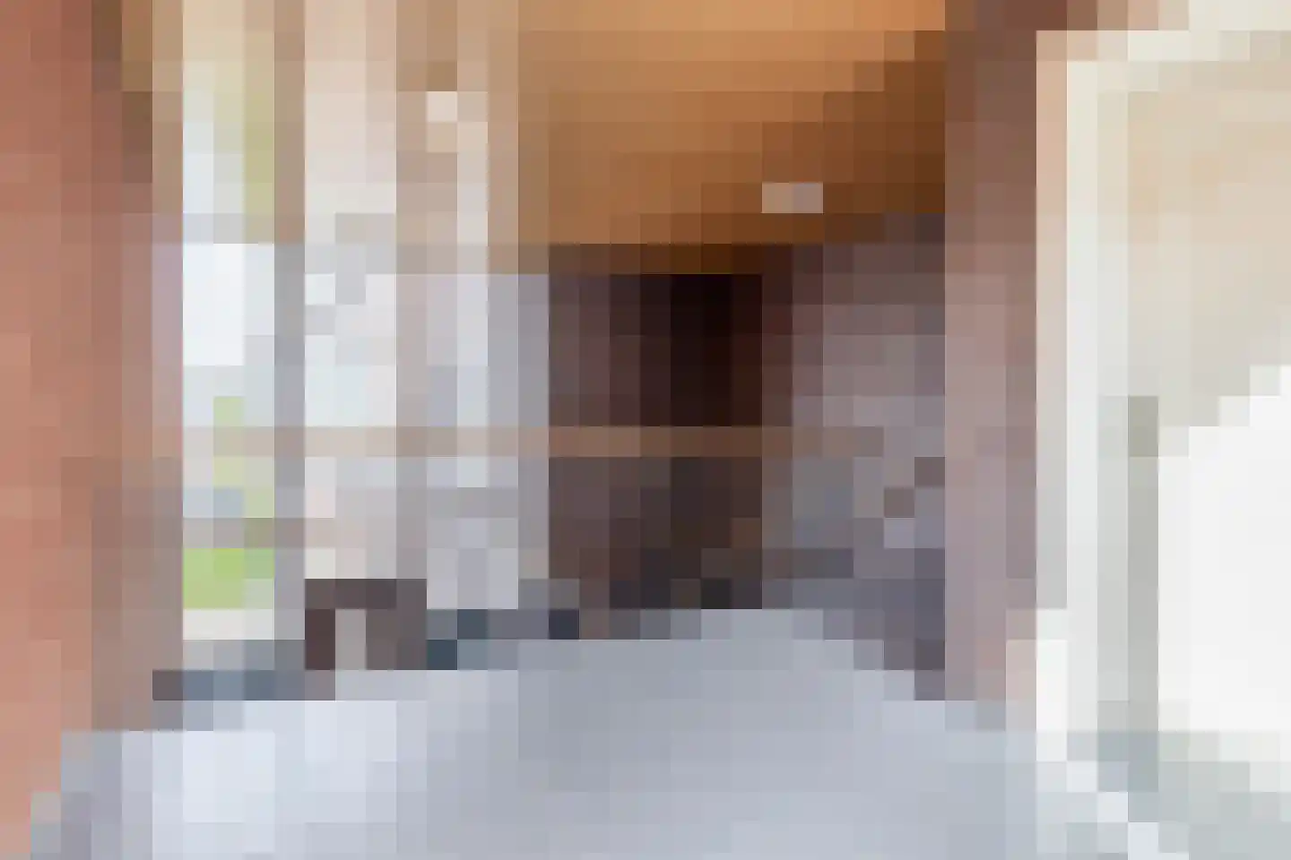 De Jonghstraat 13 Veghel thumbnail 22