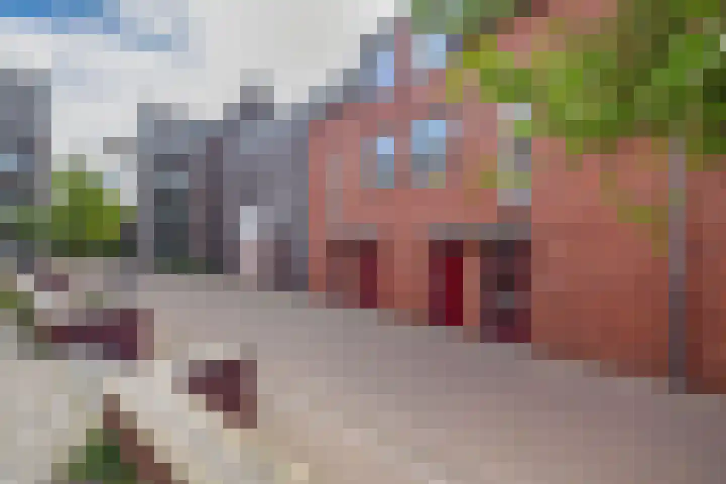 De Jonghstraat 13 Veghel thumbnail 25