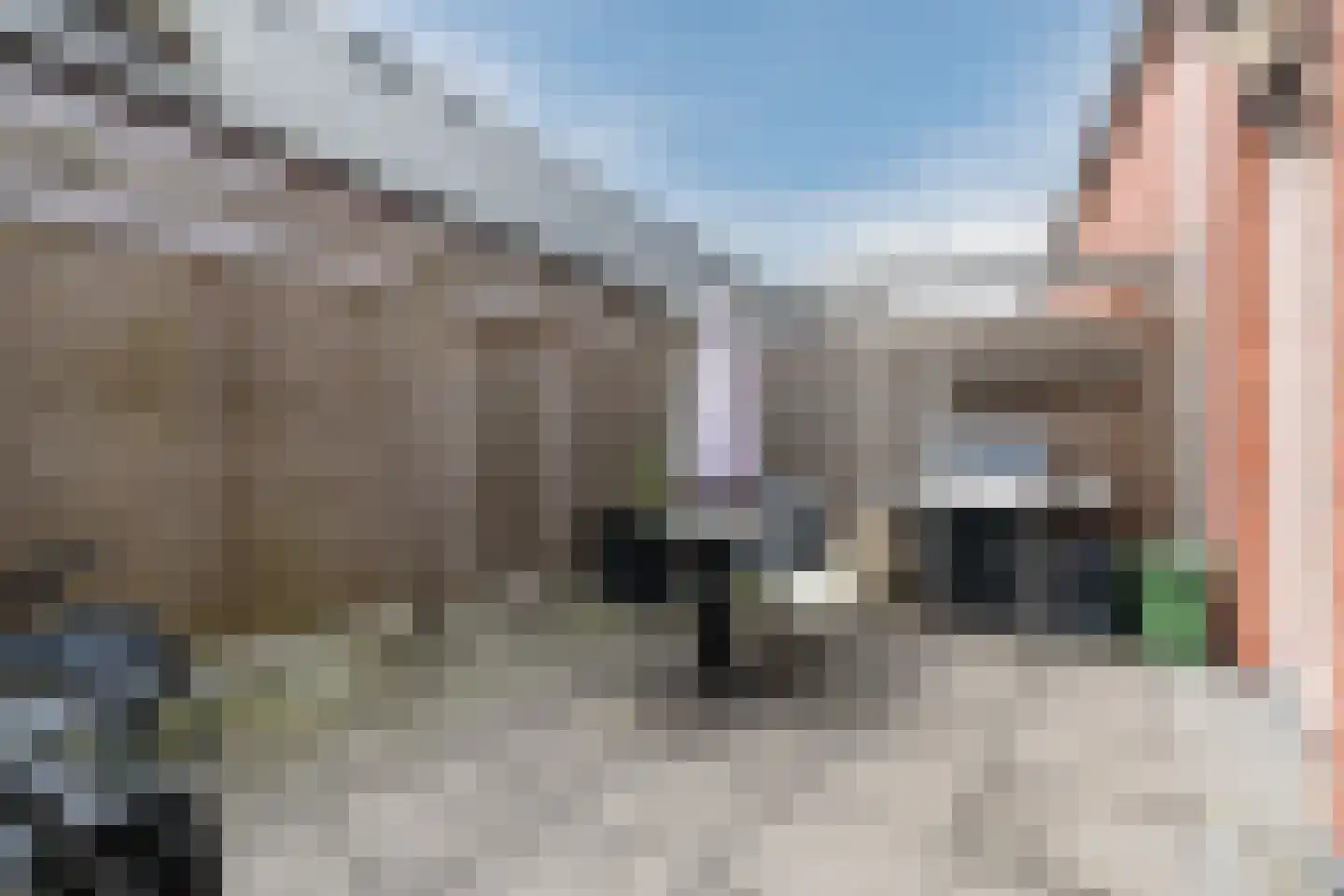 De Jonghstraat 13 Veghel thumbnail 35