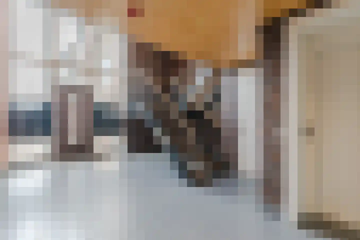 De Jonghstraat 13 Veghel thumbnail 40
