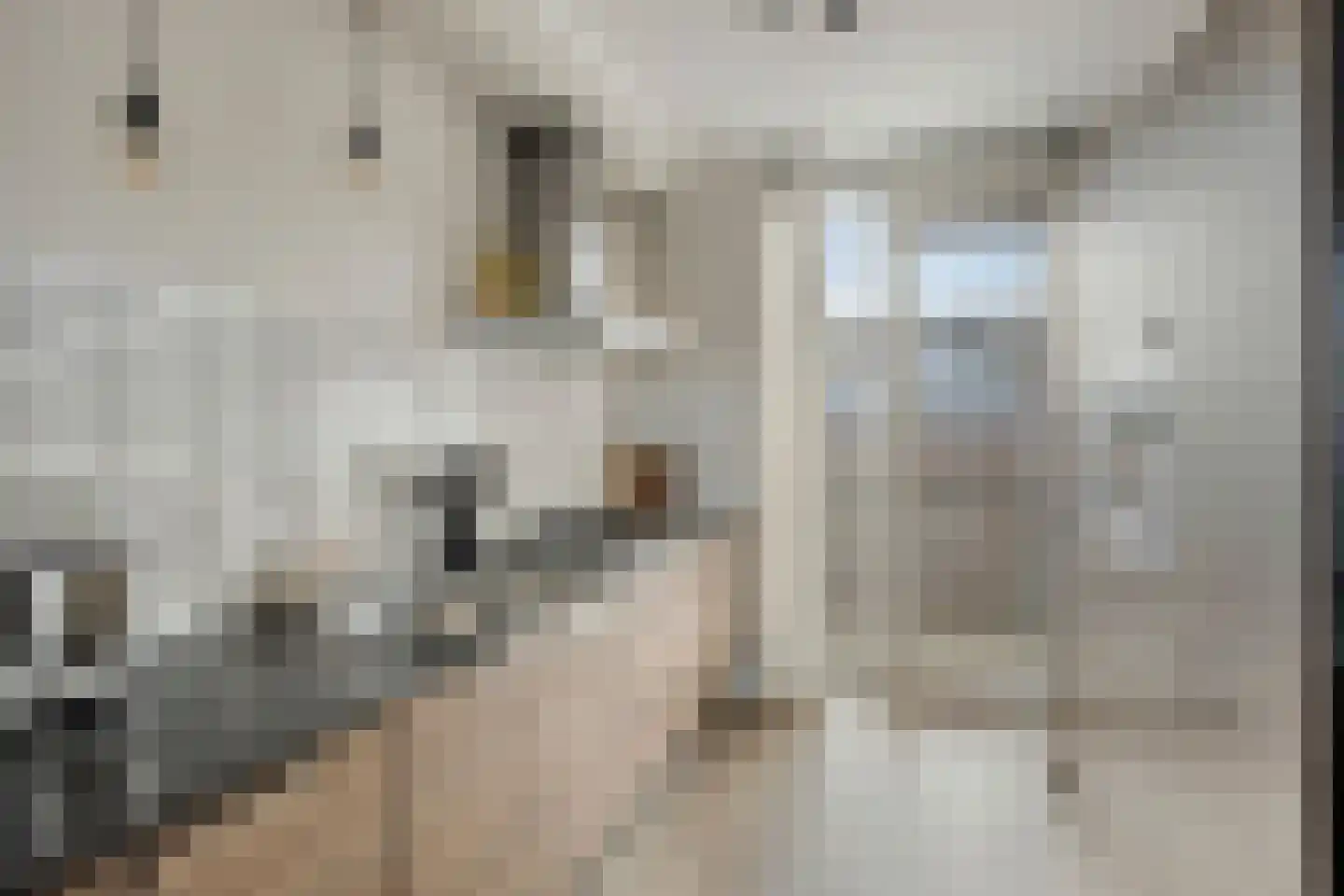 De Jonghstraat 2 Veghel thumbnail 10