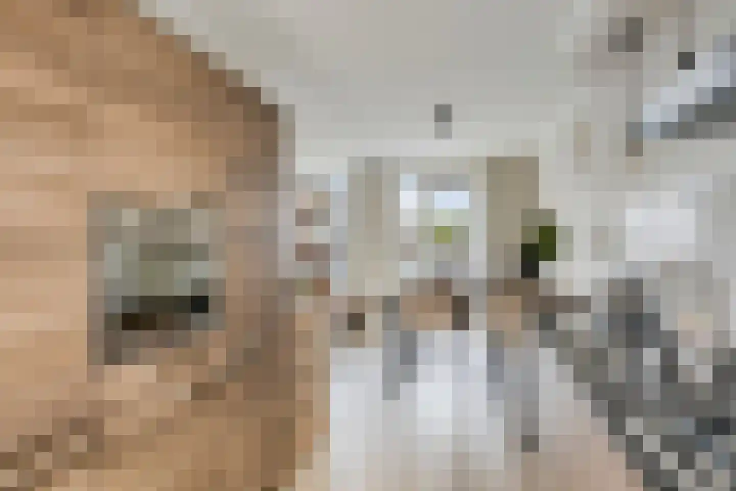 De Jonghstraat 2 Veghel thumbnail 11