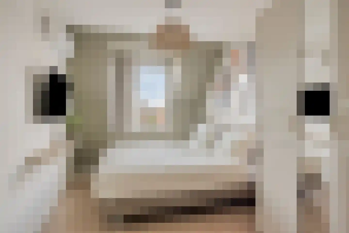 De Jonghstraat 2 Veghel thumbnail 16
