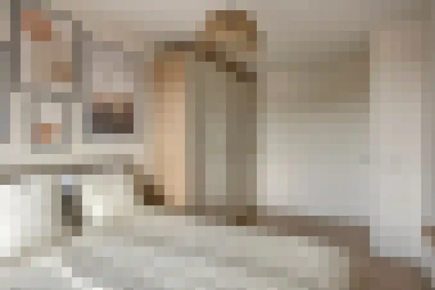 De Jonghstraat 2 Veghel thumbnail 17