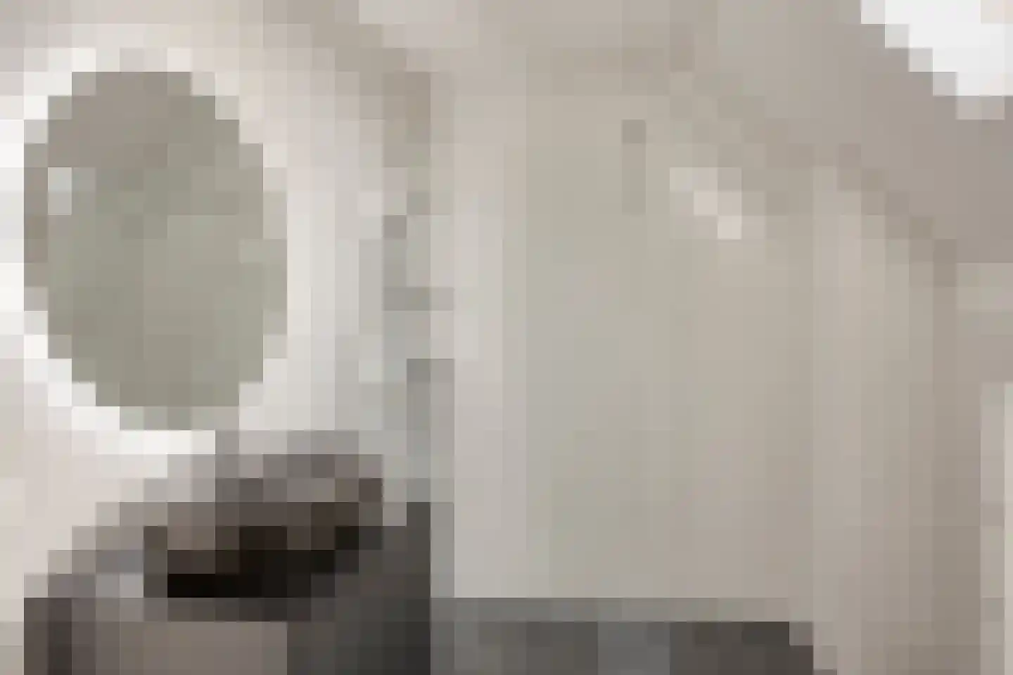 De Jonghstraat 2 Veghel thumbnail 19