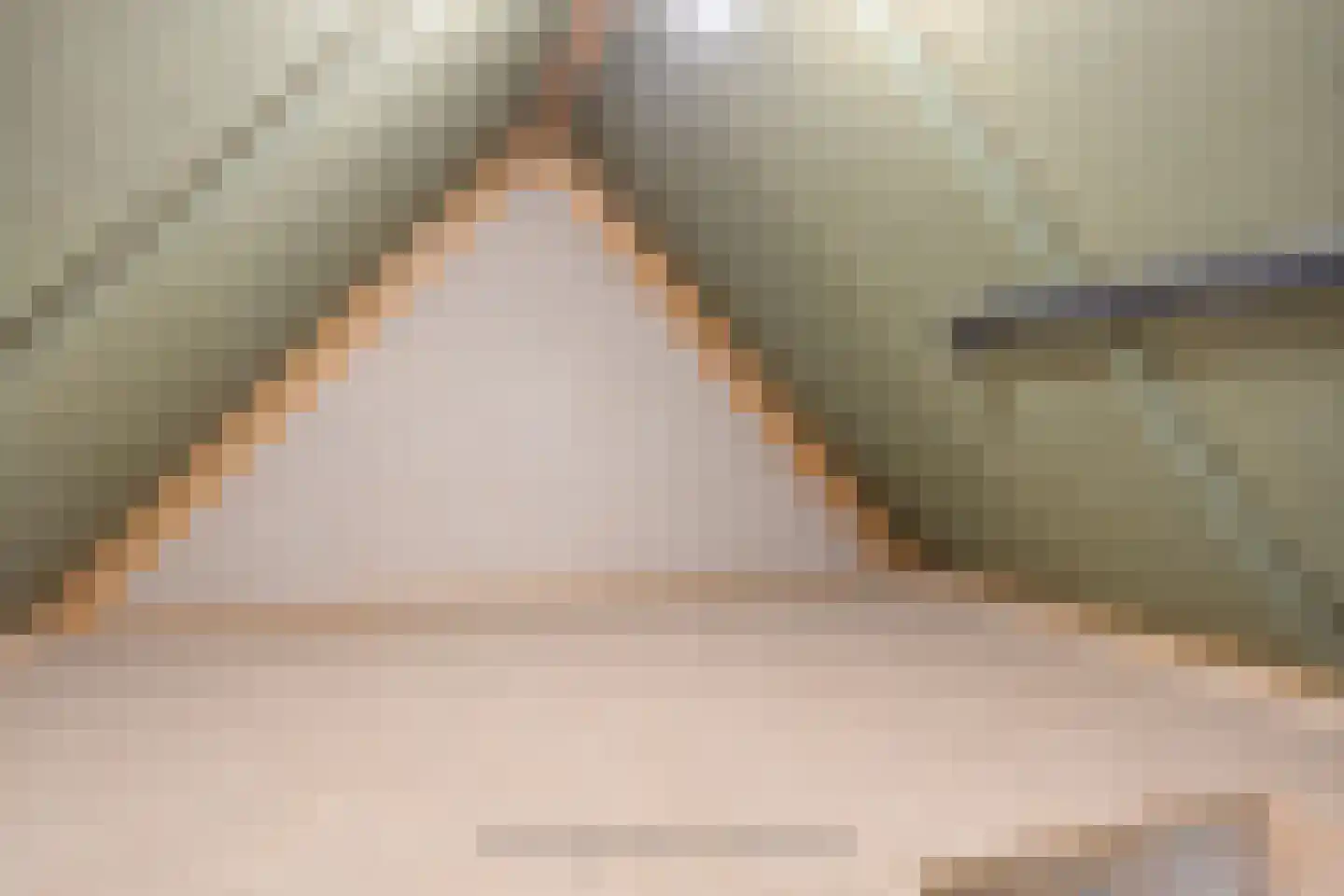De Jonghstraat 2 Veghel thumbnail 21