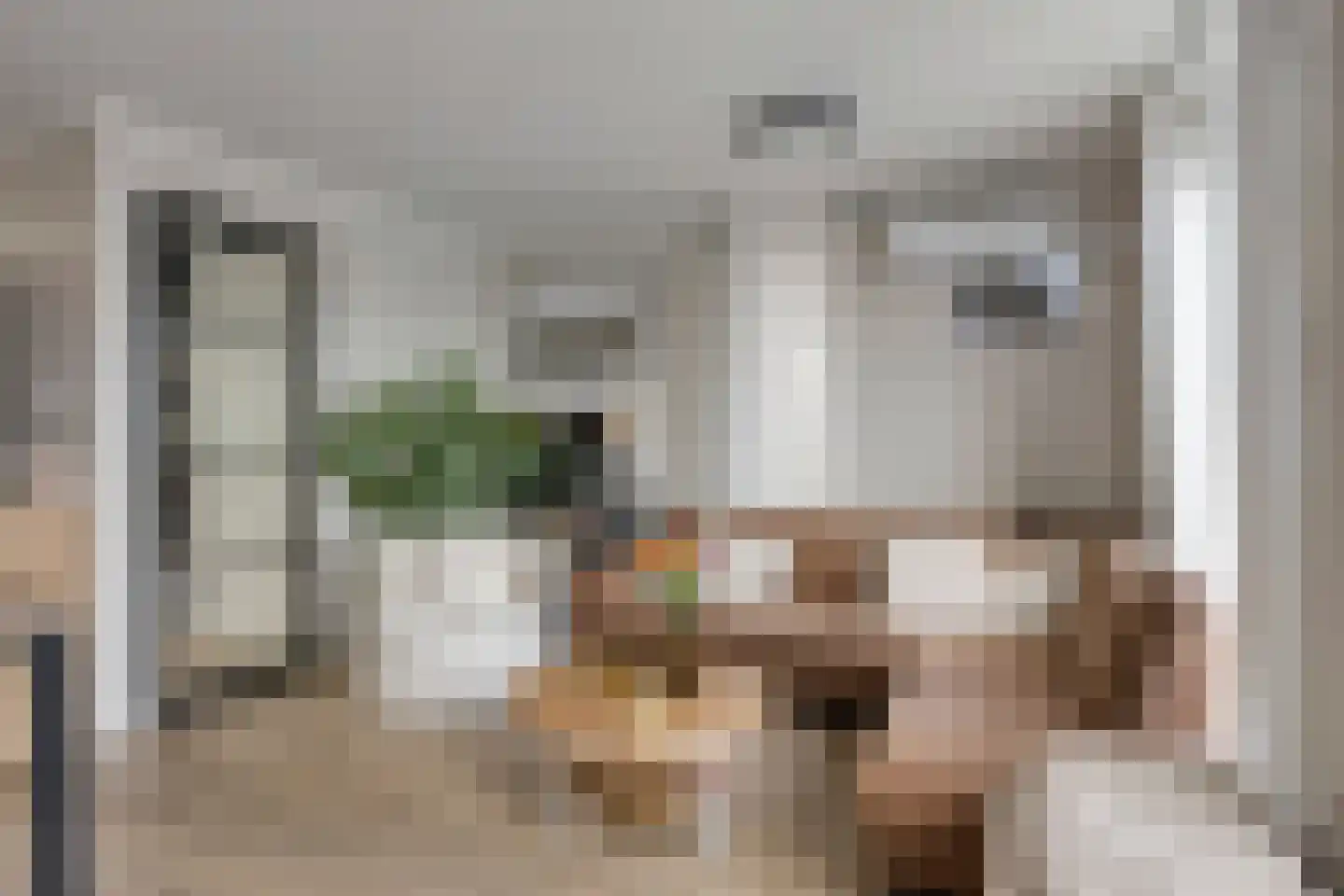 De Jonghstraat 2 Veghel thumbnail 7