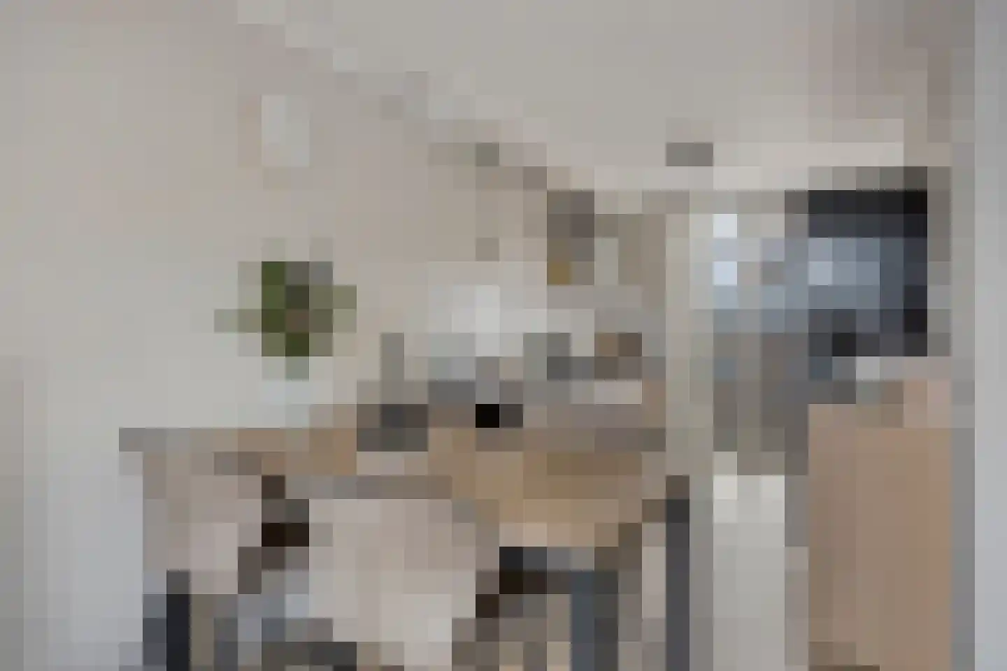 De Jonghstraat 2 Veghel thumbnail 9