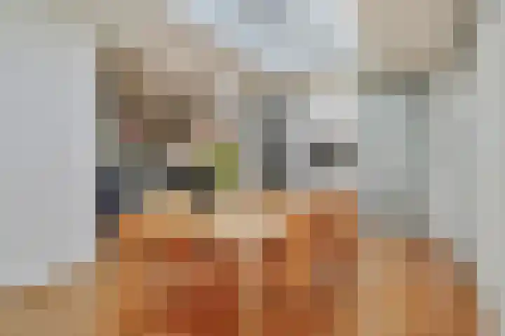 De Jonglaan 10 Vlijmen thumbnail 16