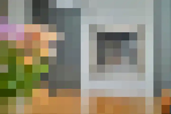 De Jonglaan 10 Vlijmen thumbnail 17