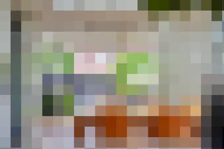 De Jonglaan 10 Vlijmen thumbnail 18