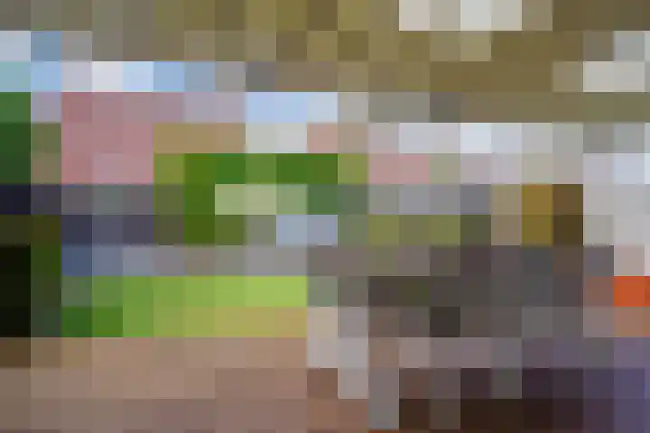 De Jonglaan 10 Vlijmen thumbnail 19