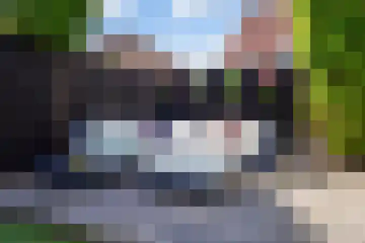 De Jonglaan 10 Vlijmen thumbnail 21