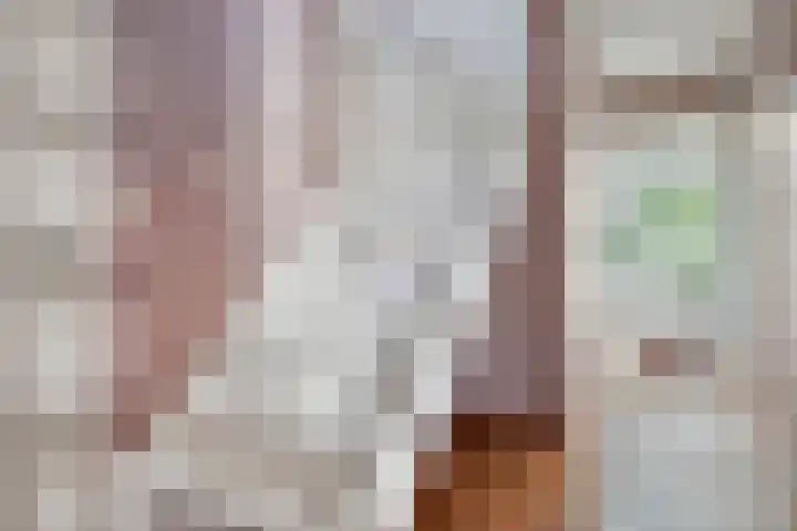 De Jonglaan 10 Vlijmen thumbnail 30