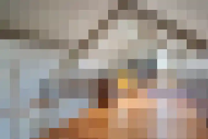 De Jonglaan 10 Vlijmen thumbnail 46