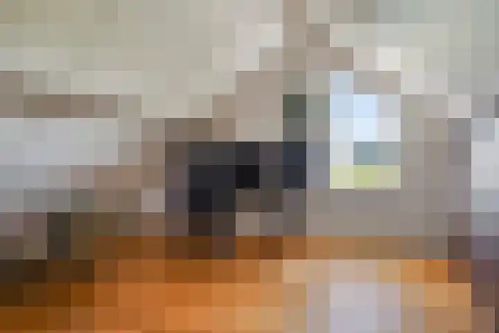 De Jonglaan 10 Vlijmen thumbnail 48