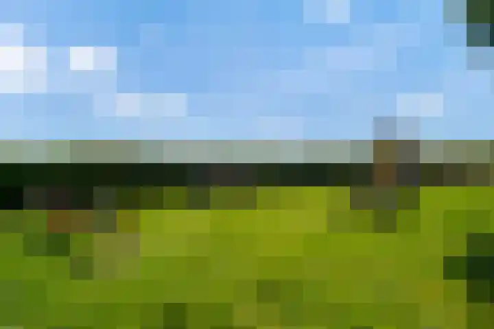 De Jonglaan 10 Vlijmen thumbnail 52