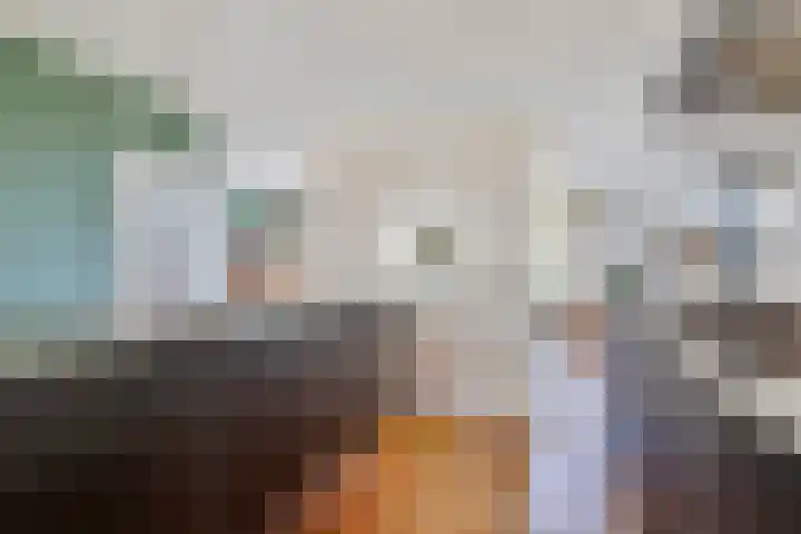 De Jonglaan 10 Vlijmen thumbnail 9