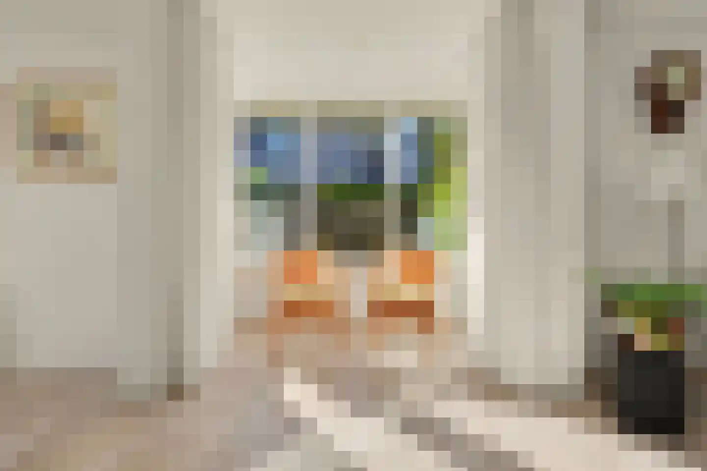 De Jonglaan 25 Vlijmen thumbnail 14