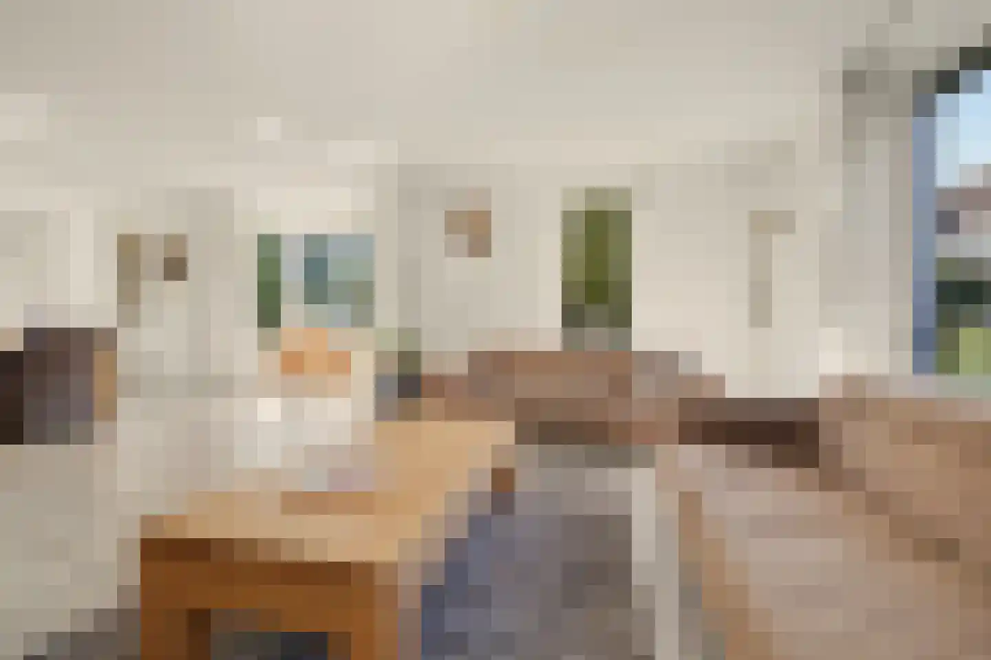 De Jonglaan 25 Vlijmen thumbnail 4