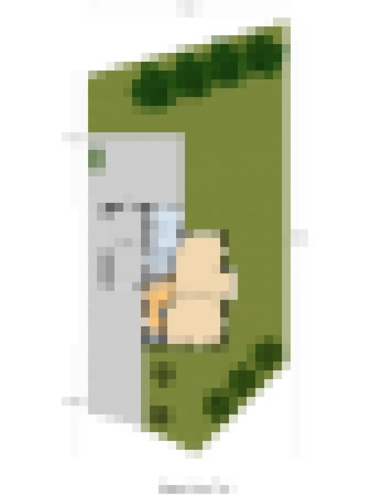 De Jonglaan 25 Vlijmen thumbnail 51
