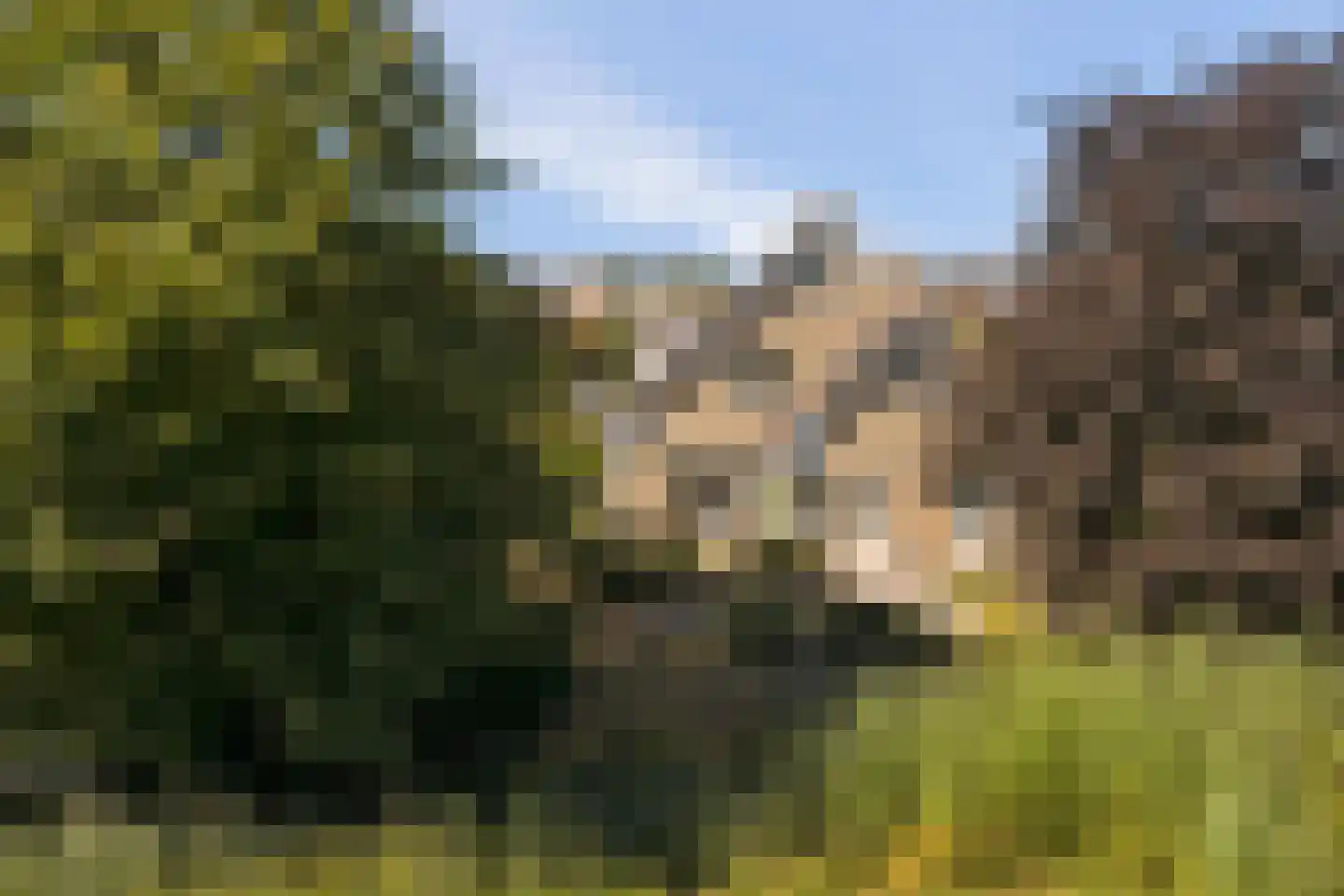 De Jonglaan 25 Vlijmen thumbnail 52