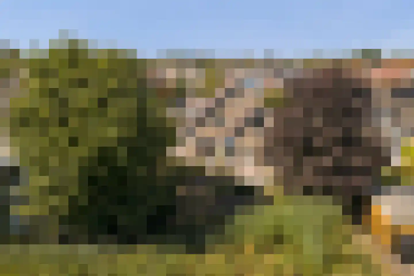De Jonglaan 25 Vlijmen thumbnail 53