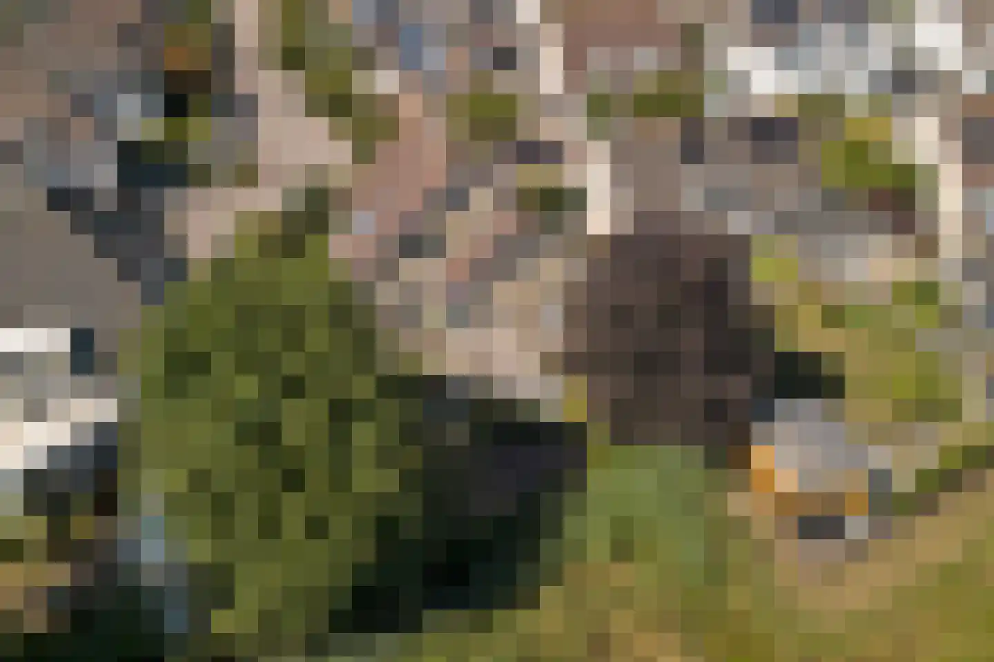 De Jonglaan 25 Vlijmen thumbnail 54