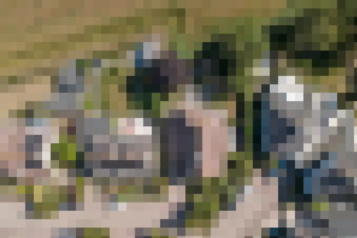 De Jonglaan 25 Vlijmen thumbnail 63