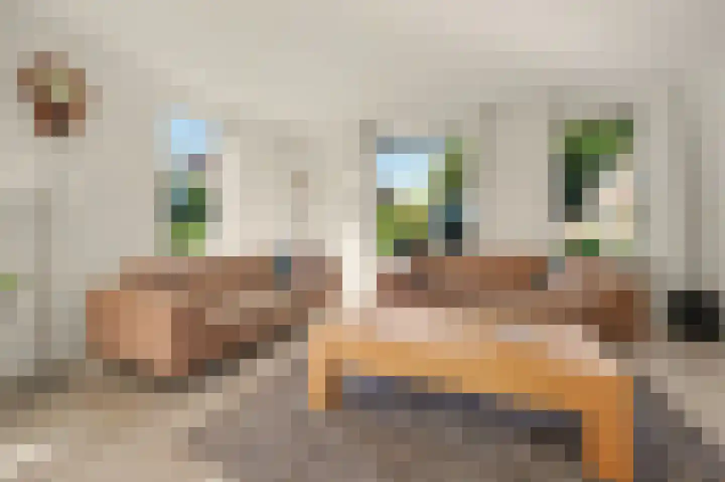De Jonglaan 25 Vlijmen thumbnail 7