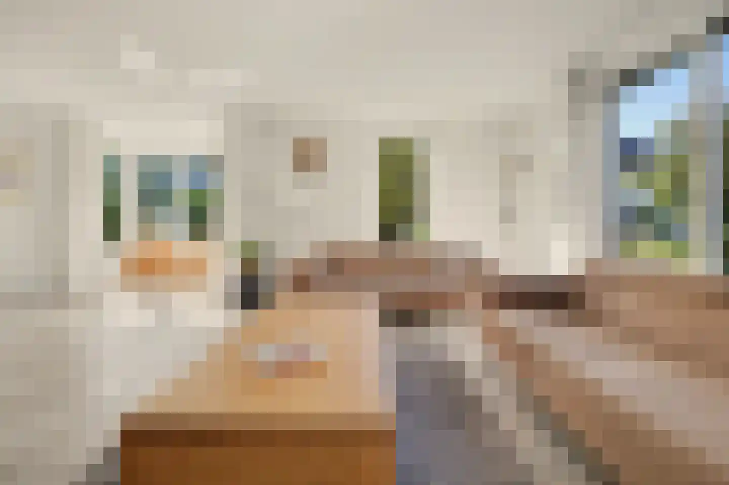 De Jonglaan 25 Vlijmen thumbnail 8