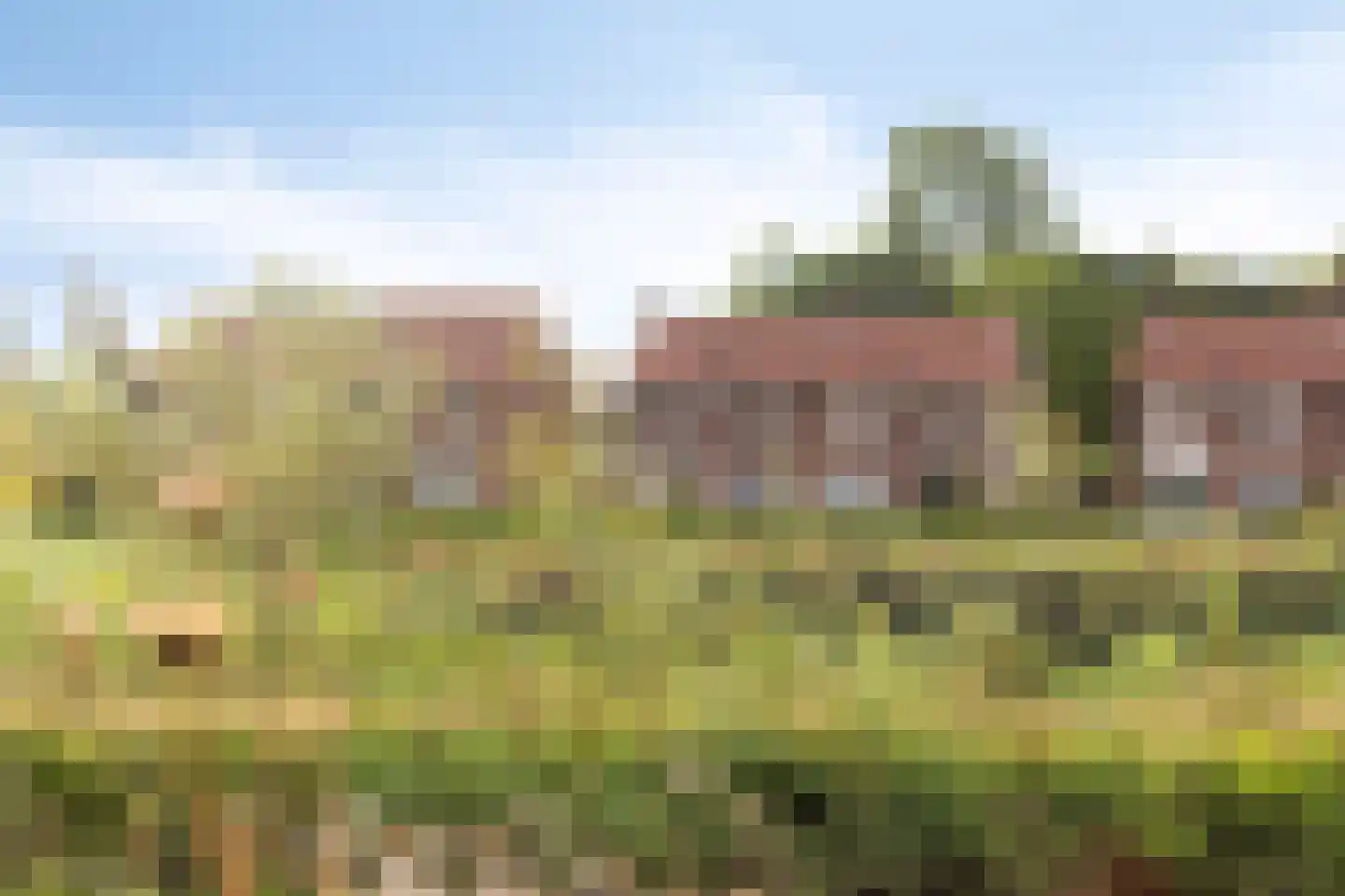 De Jongsingel 44 Sint-Oedenrode thumbnail 52
