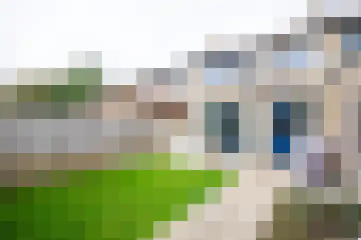 de Jongstraat 106 Doetinchem thumbnail 13